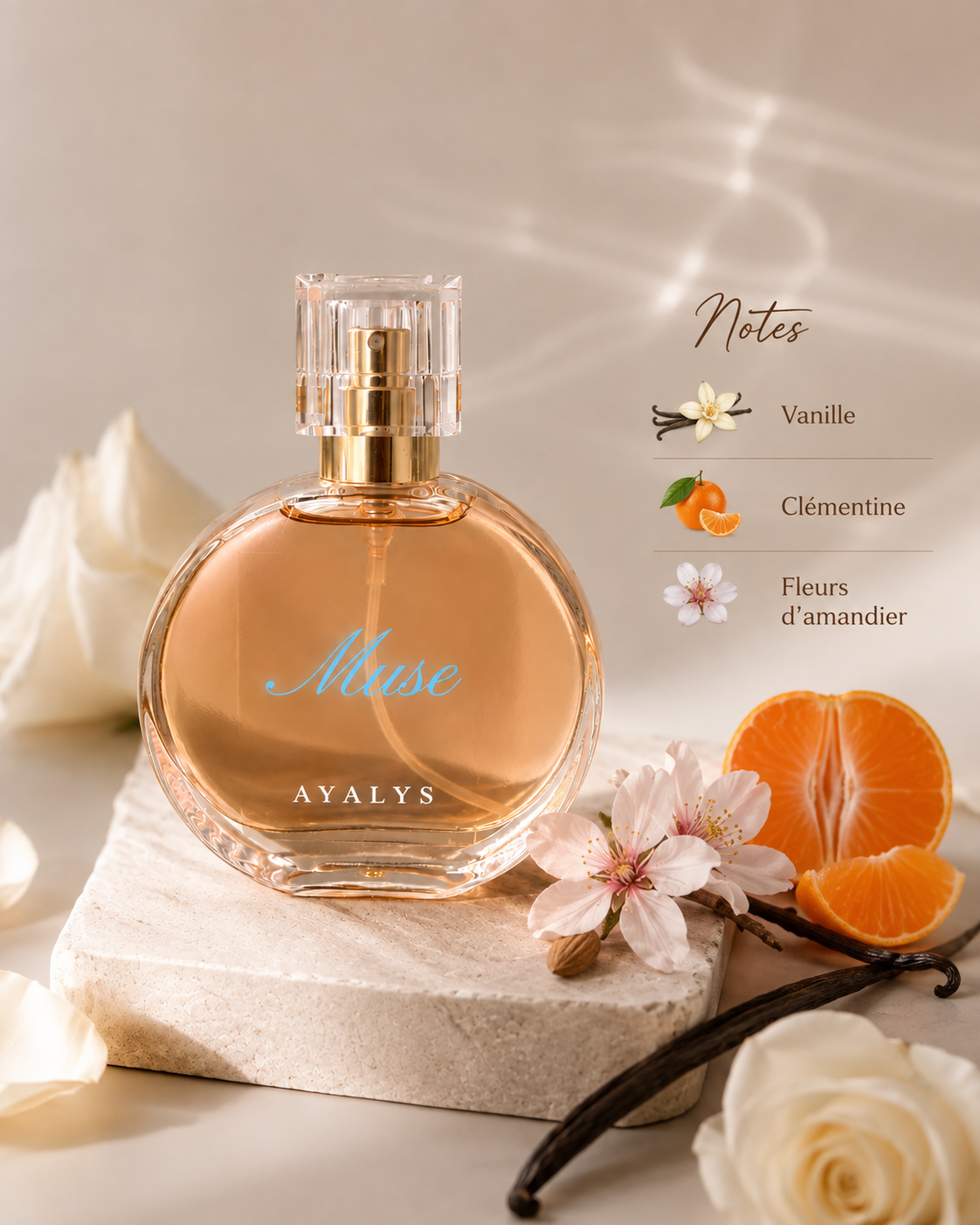 Parfums - AYALYS
